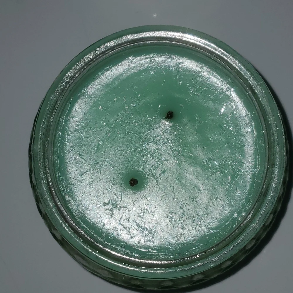 OLD FASHIONED MINT ICE CREAM small/8 oz Gold Canyon‎ two-wick candle